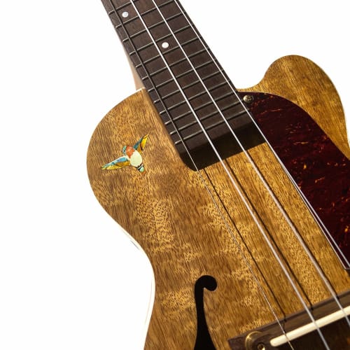 Dancing Hummingbird Guitar and Instrument Inlay Sticker