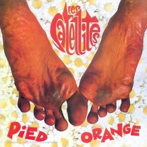 

CD LES SATELLITES - Pied Orange SQT4675862,1446 Squatt 1990 US Rock Used