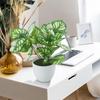 Flower Foliage  Potted Bonsai Office Decor