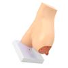 Lactating Bust Anatomical Model PVC Hand Made Lifelike Female Anatomical Chest Model for Lactation Teaching Nursing Training