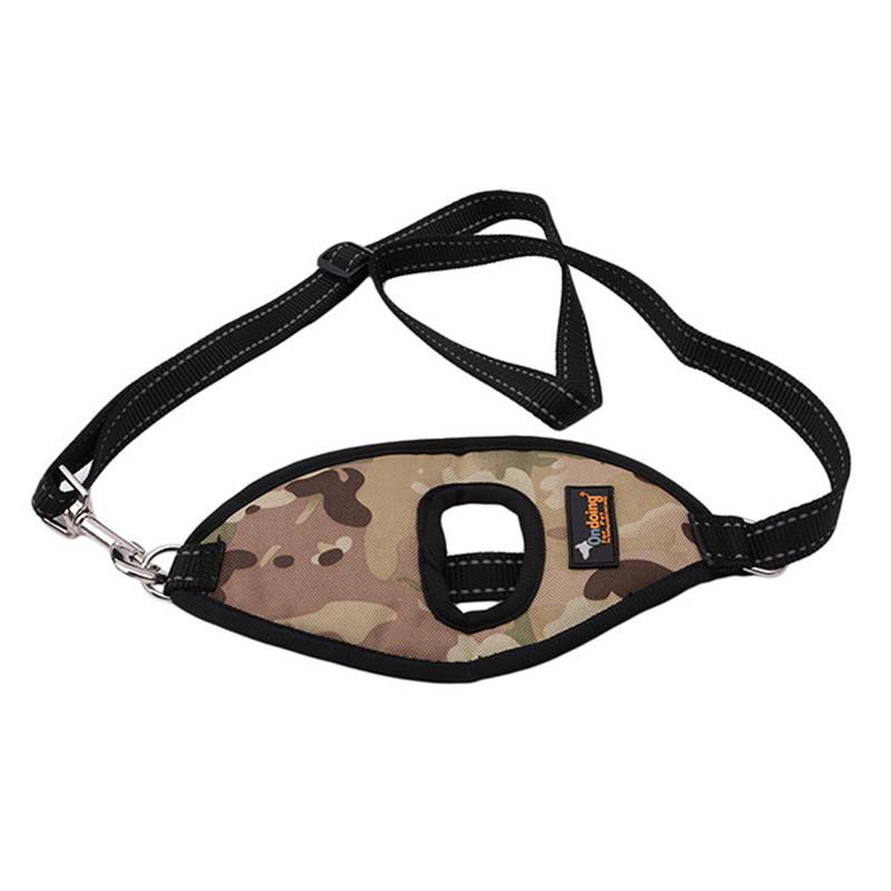 Buy Pet Dog Leashes Glove Type Reflective Strip Dogs Leash Outdoor Take A Walk Dog Accessories