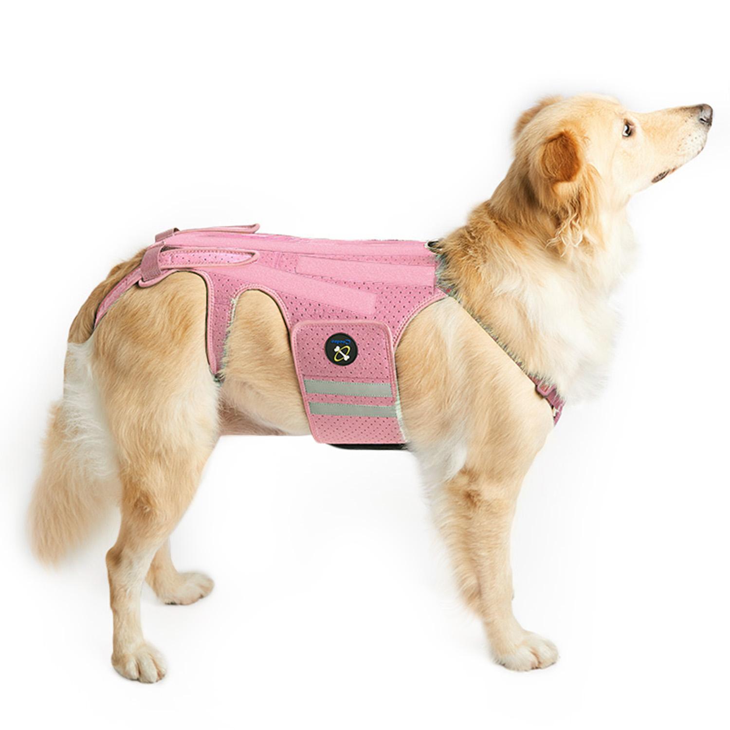 Bequeme Schwarze Hund-Rückenstützweste Verstellbar Atmungsaktiv Haustier Orthopädische Stützbandage Wiederverwendbare Hund-Brust-Rückenstütze (Pink,S) rosa