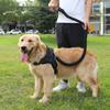Golden Retriever & Labrador Medium-Large Dog Harness-Leash with Thick, Eight-Strand, Explosion-Proof Rope