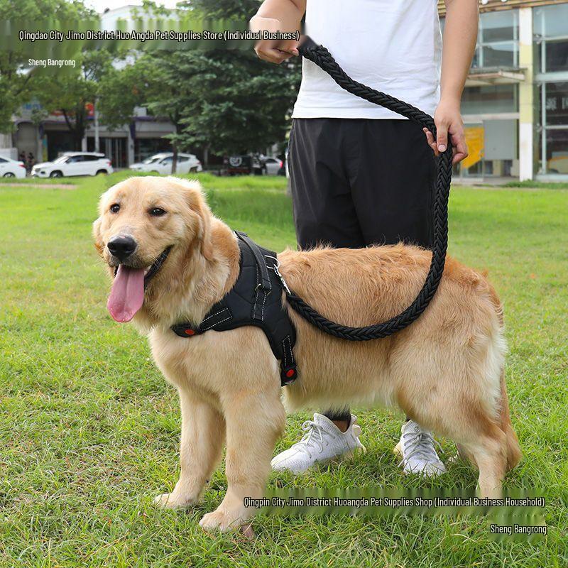 Golden Retriever & Labrador Medium-Large Dog Harness-Leash with Thick, Eight-Strand, Explosion-Proof Rope