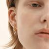 Silver 925 Dense Solid Ring Earrings LSE101