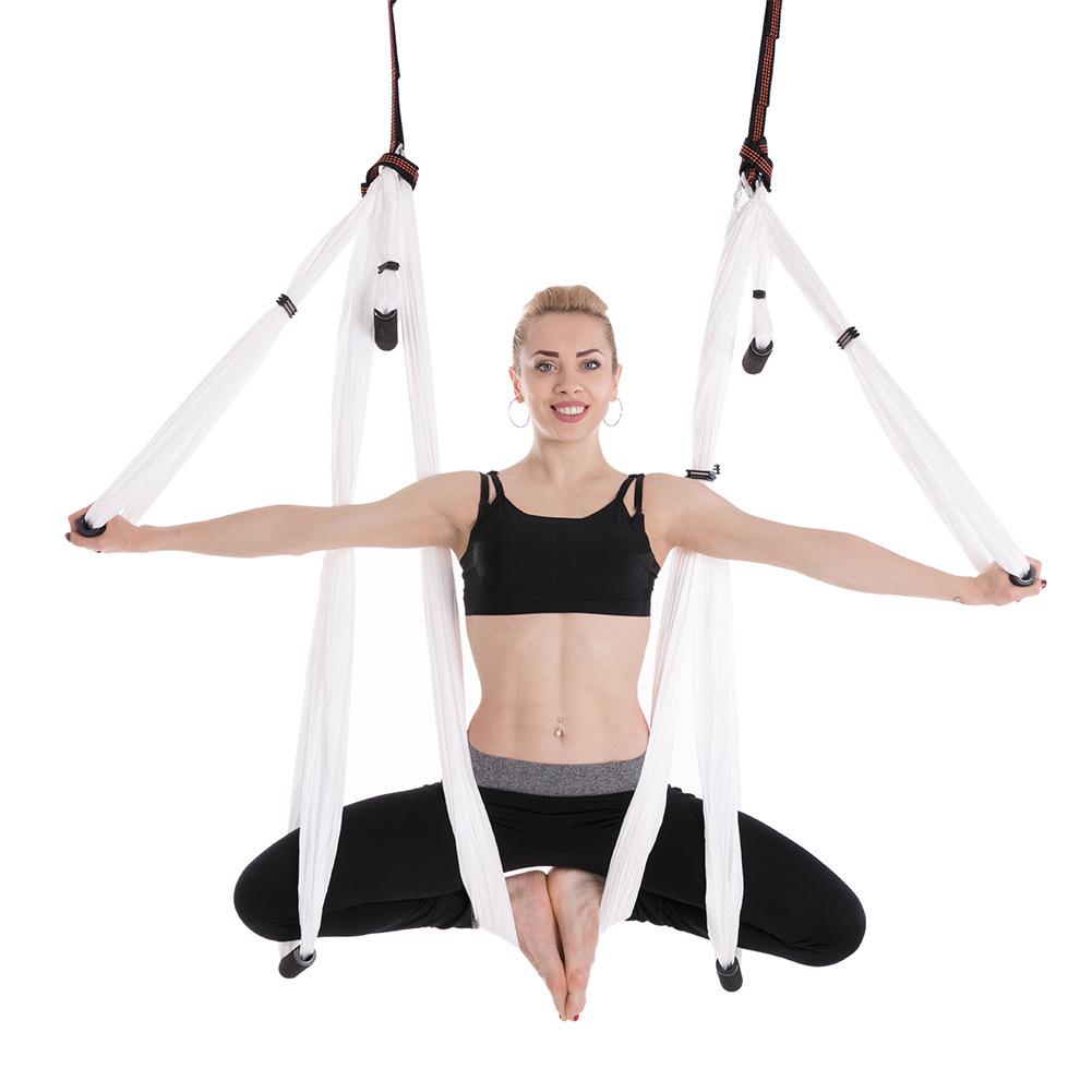 Two-Tone Inversion Gravity Aerial Yoga Hammock: Indoor Fitness Swing Chair