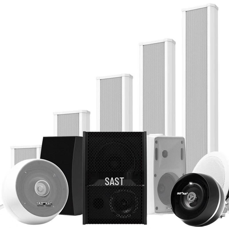 SAST S4-6 6.5-inch Coaxial In-Ceiling Speaker (CN Version)