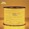 Zhongsui 100m Outdoor Waterproof LED Light Strip