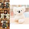 Adorabili Peluche di Koala con Bambino Seduti