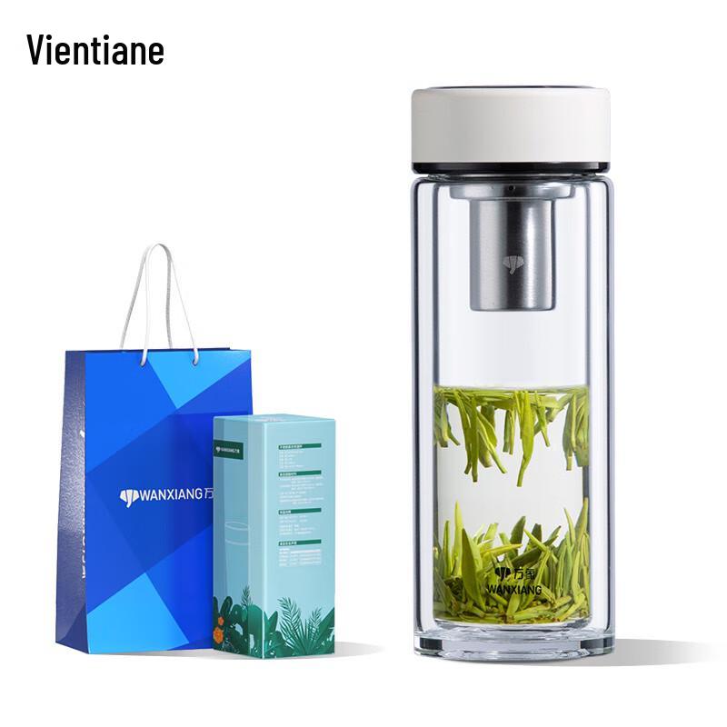 V379R Double-Wall Borosilicate Glass Tea Infuser Bottle