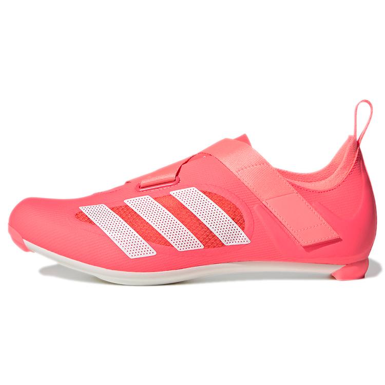 

new Adidas Indoor Cycling Turbo 36.5