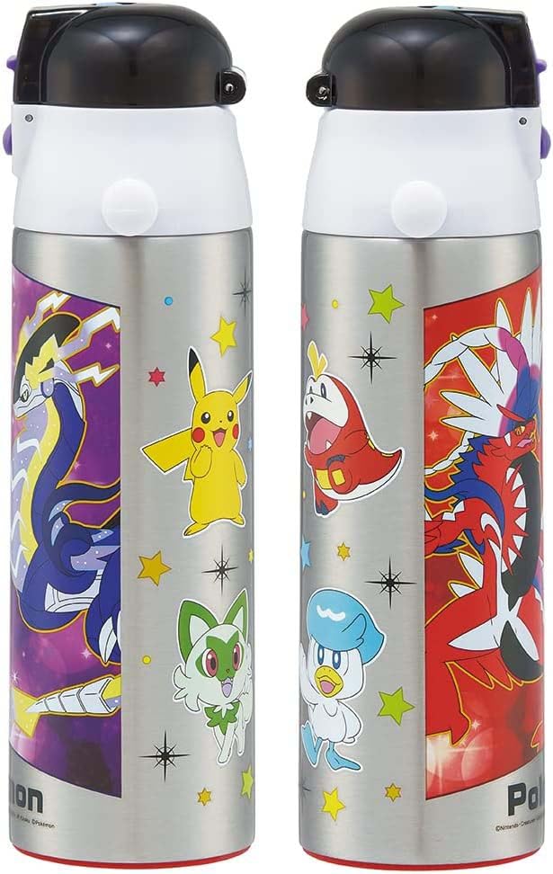 Skater Stainless Steel Water Direct Pokemon for Cute Sports Water Kids' Bottle, Drinking, 580ml, Design, 23N, Child-Friendly, Lightweight, Insulated,