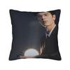 Zhang Linghe Pillow Case  Soft Pillow Cover For Living Room Sofa Retro Trendy Cushion Cover