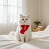 Festive Warm Cat Knitted Scarf Red Color Blessing Pet Neck Scarf Cute New Year Dog Scarf Pet Show