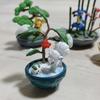[USED] Pokemon Pocket BONSAI Pikachu, Vulpix, Politoad, Lucario