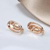 585 Rose Gold Irregular Geometric Oval Earrings with Zircon Inlay