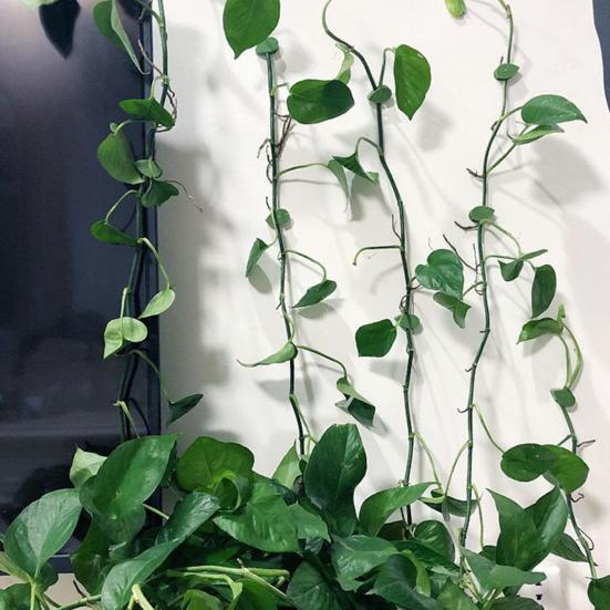 10Pcs Plant Vine Clips Green Leaf Shape Clips with Adhesive Wall Vine Clips for Climbing Plants Pothos Ivy Monstera Philodendron