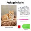 Stretched Frame Pearl Art Kit Cute Orange Cat Pattern DIY Sparkling Bead Canvas Relaxing Hobby Perfect Gift for Craft Enthusiasts Home Decor