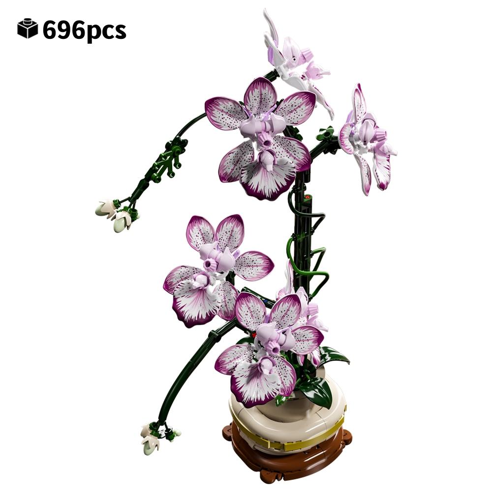 

MOC Creative Orchid Plant Building Blocks Flower Bouquet Set Phalaenopsis Never Wither Flowers Valentine Day For Girls 696PCS 696pcs