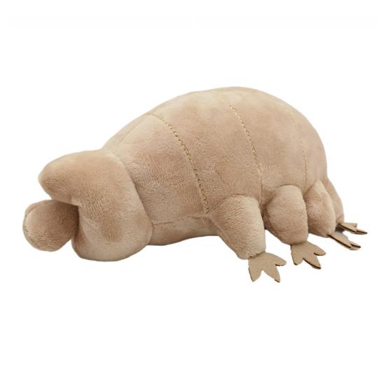 Tardigrade Water Bear Plush Toy Realistic Soft Animal Stuffed Doll Great Pillow Gift for Biology Enthusiasts Kids Home Decor