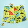 Bañador de Niño de Dibujos Animados, Pantalón Corto Cuadrado de Poliéster para Niños Pequeños y Medianos, Perfecto para la Playa y las Vacaciones