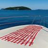 Red Striped Sardines Beach Towel Quick Drying Travel Towel Unisex Soft Comfortable Quick Dry Portable for Men Women Beach