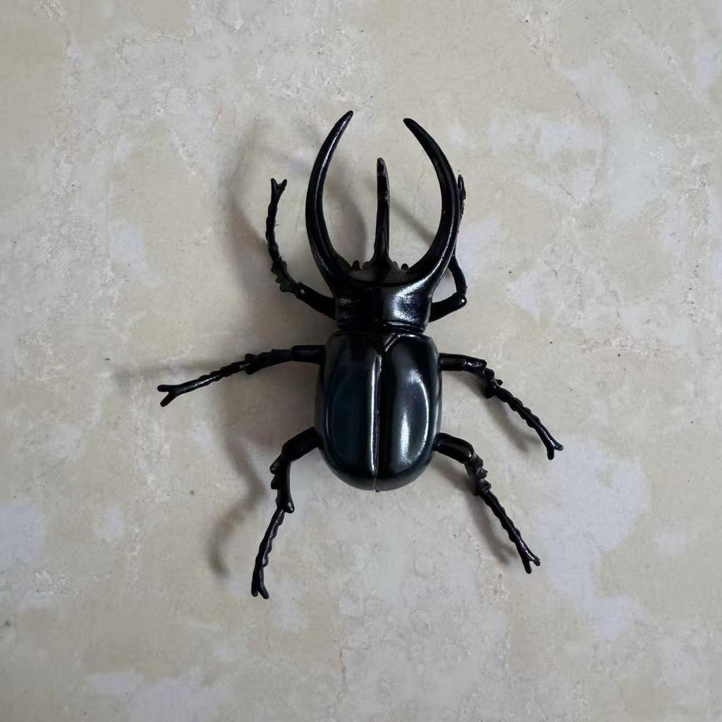 Biographical Analysis of Deer Antler Beetle and Claw Shaped Insect Beetle Gacha Simulation Animal Movable Joints Figure Toys