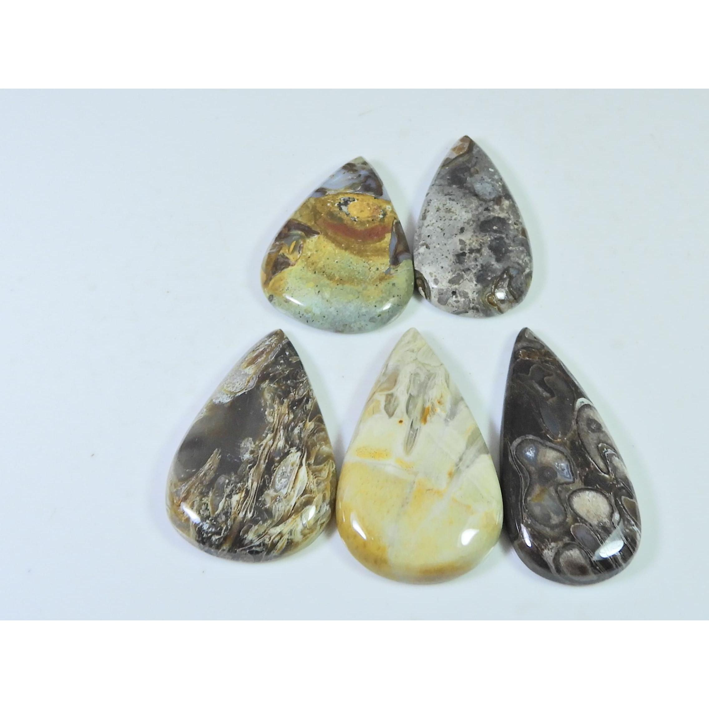 205Cts. Natural Stick Agate Pear Cabochon Loose Gemstone 5Pcs Lot 36-38 MM A-798