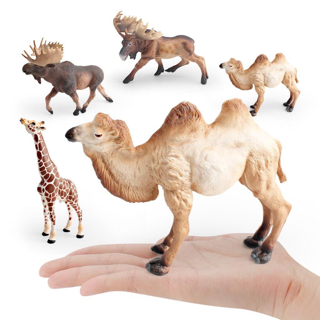 Wildlife Animal Model Set Pvc Camel Giraffe Educational Collectible For Kids Nature Learning