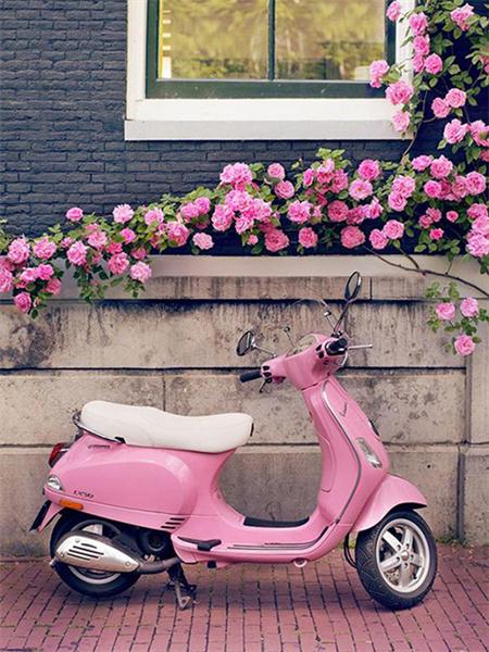 Full Square Round Diamond Painting Kit Cherry Blossoms Tree Diy Embroidery Mosaic Building Landscape Home Decor