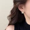 Chic Luxury Zirconia Fan-Shaped Stud Earrings – Versatile, High-End Commuting Ear Jewelry