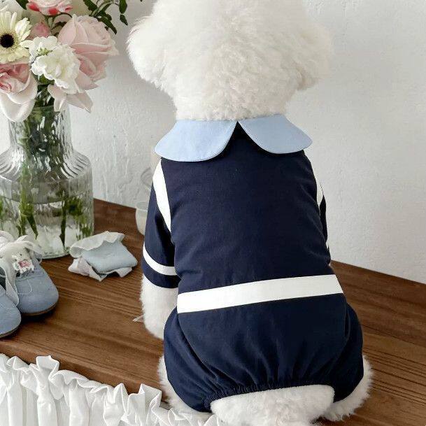 Pet dog cat can be towed four-legged teddy autumn and winter velvet than the bear Schnauzer VIP cat pet clothing