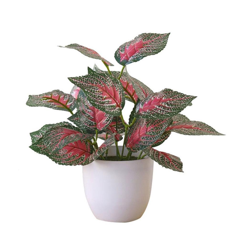 Flower Foliage  Potted Bonsai Office Decor