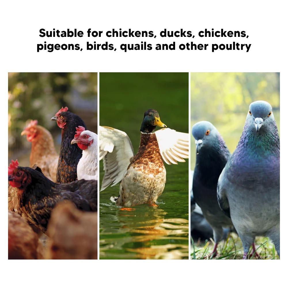 10 Sets PP Chicken Waterer Cups Durable Pigeon Waterer Cups Automatic Chicken Water Cups Home Use