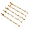 Stainless Steel & Titanium Necklace Extension with Lobster Clasp & Beaded Tail - DIY Accessory Set