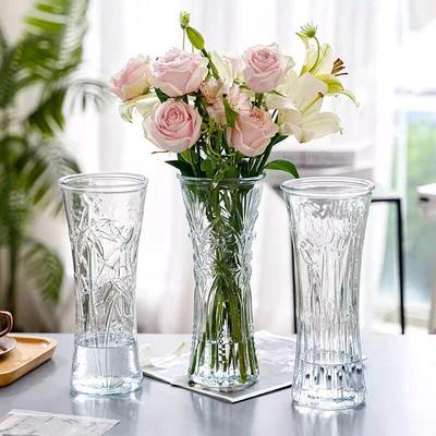 Extra Large Transparent Glass Vase for Hydroponic Bamboo & Fresh Flower Arrangements