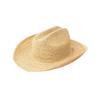 Chapeau de cowboy en crochet de raffia pliable pour hommes et femmes, chapeau de soleil en paille, style tendance, printemps et été européen et américain, tissé à la main