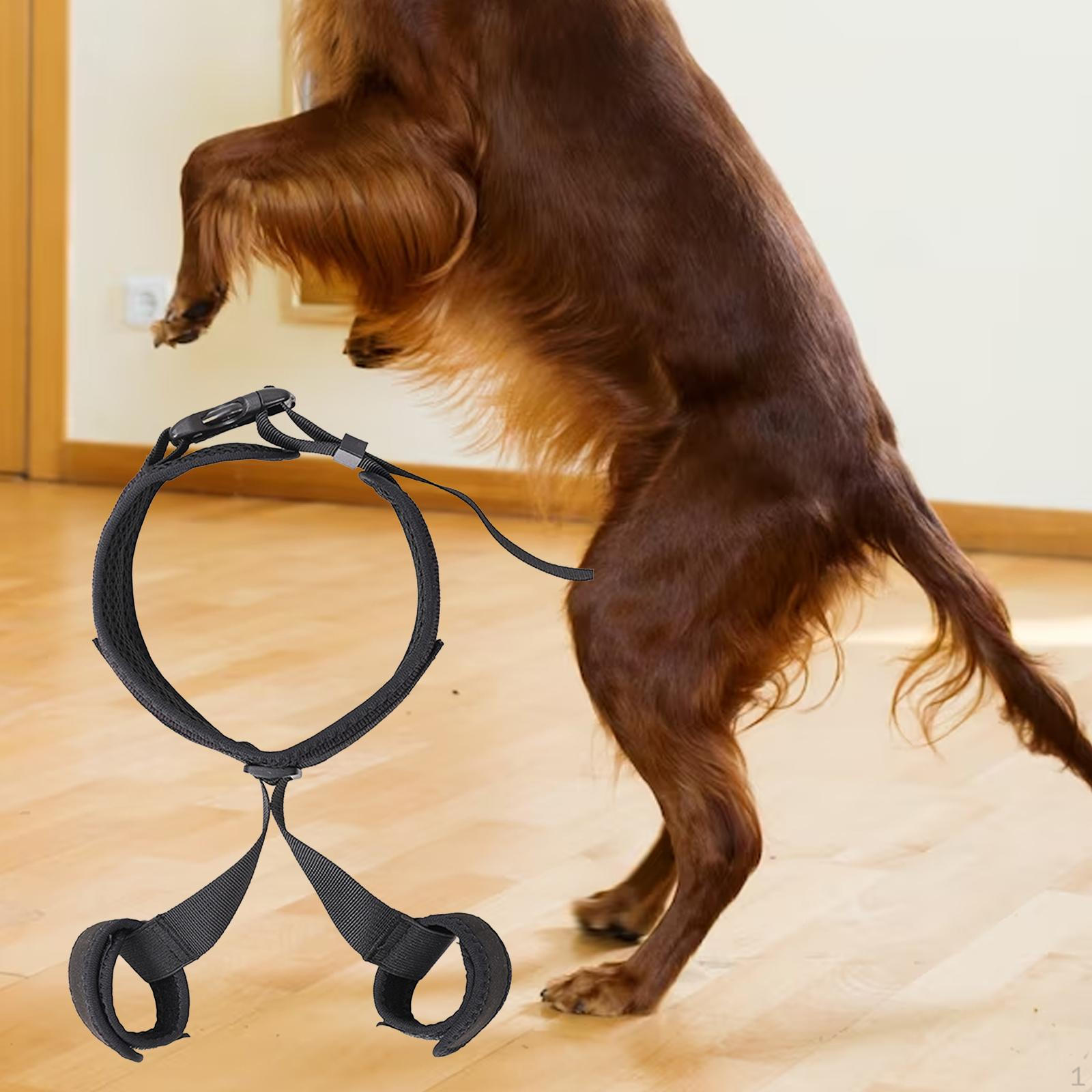 

Dog Leg Support for Hind Limbs L