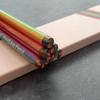 Woodless Coloring Pencil 8 Color In 1 Pencil Multicolored Pencil for Adult Kid Coloring Book Sketching Card Making
