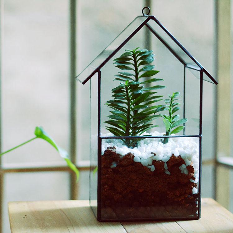 Geometric Glass Terrarium: Modern Succulent Planter & Home Decor for Coffee Shop Ornaments