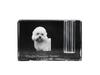 Dandie Dinmont Terrier, Hindlee Terrier – Pen Stand, Crystal Organiser with Dog Photo | Art-Dog