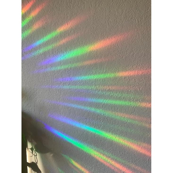 22 Piece Circle & Sun Star Window Clings - Anti-Collision Decals to Save Birds, Non-Adhesive Prismatic Clings, Rainbow Stickers