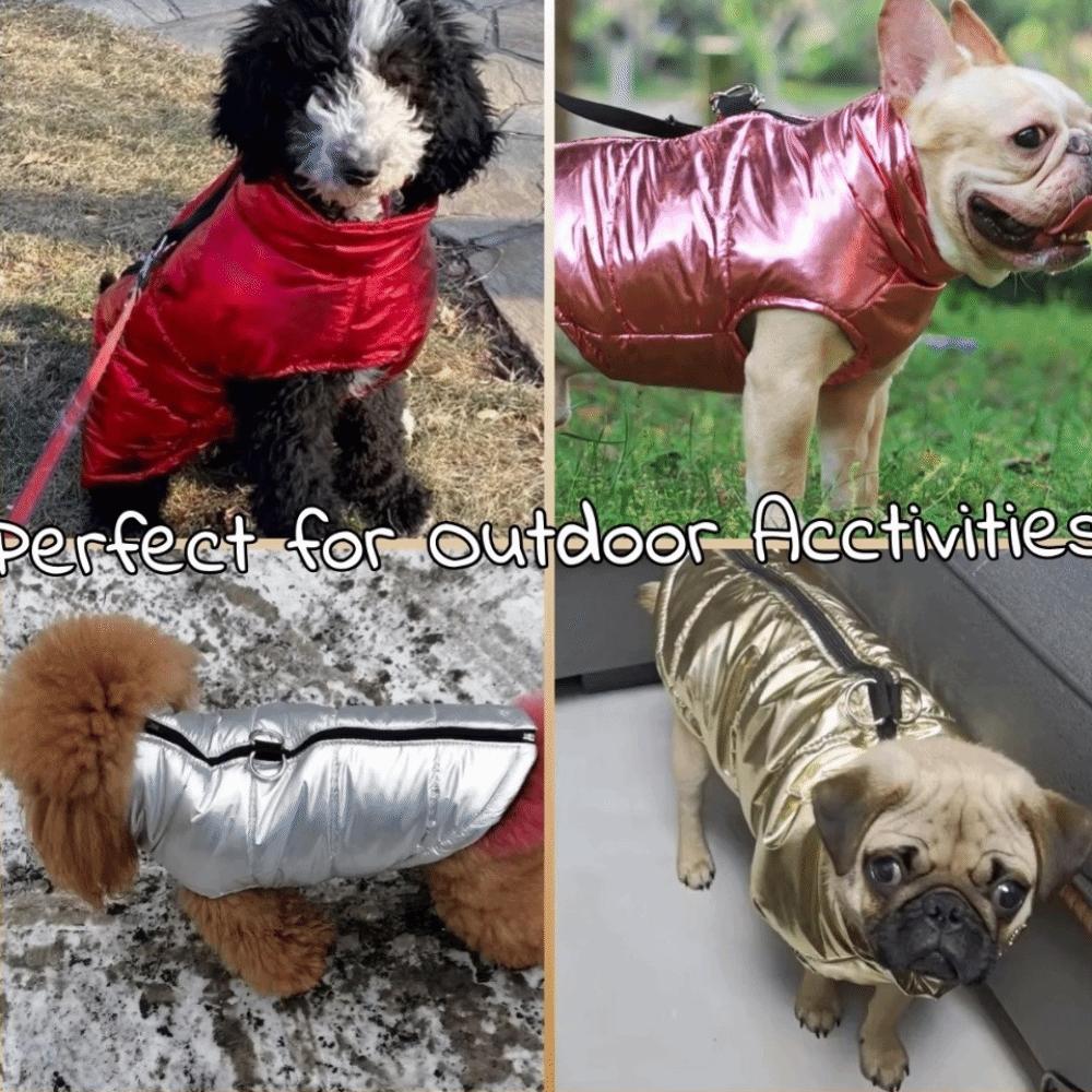 Thickened Dog Hiking Jacket Winter Dog Bodysuit Fashion Dog Vest Coat Cat