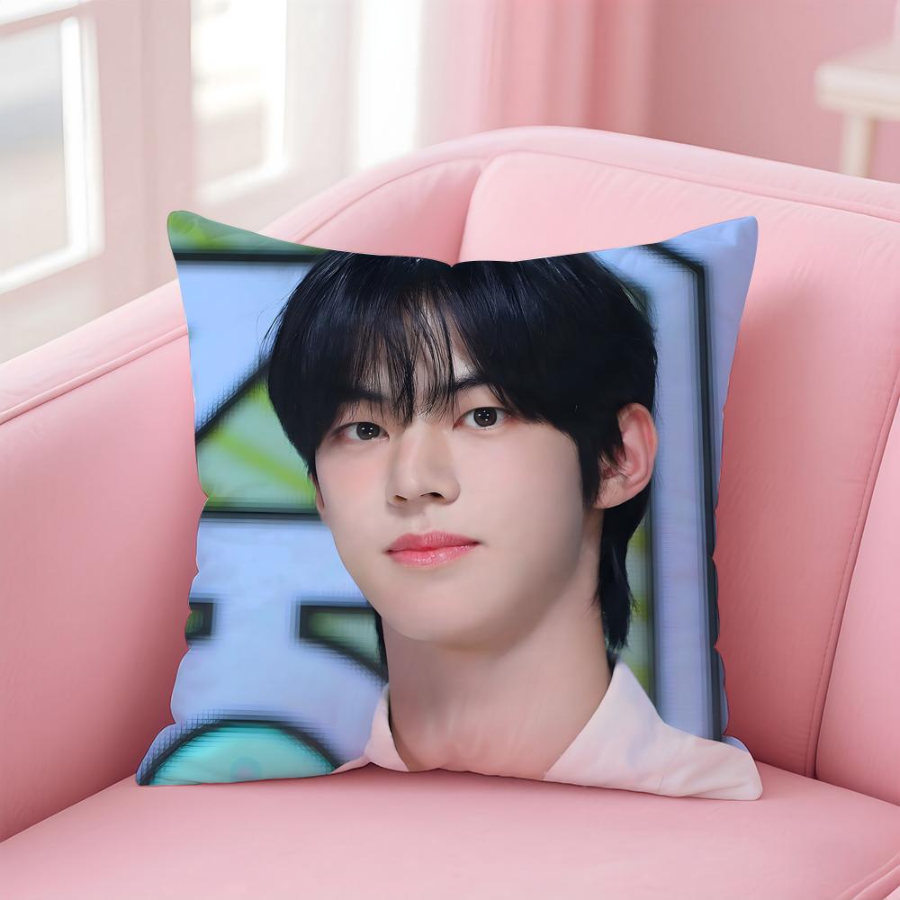actor fresh DDohoon Cushion Cover Pillow Case Soft Skin Friendly Fabric  Concealed Zipper