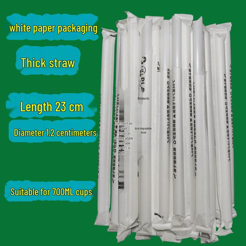 Shixun Biodegradable PLA Large Disposable Straws