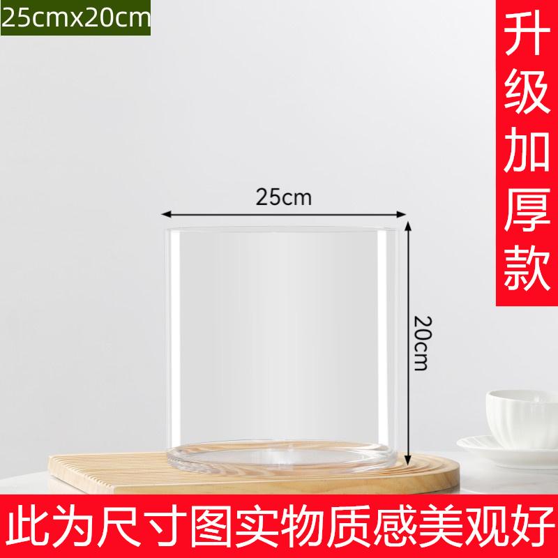 Transparent PET Vase for Water-cultured Flower Arrangements,Living Room Decorations,Hydroponic Containers,Large Flower Bucket