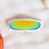 [Pet] Straight Mirror Sunglasses