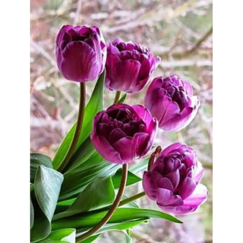 5D DIY Diamond Painting Flowers Rose Cross Stitch Kit Full Round Drill Embroidery Mosaic Wall Art Rhinestones Home Decor Gift