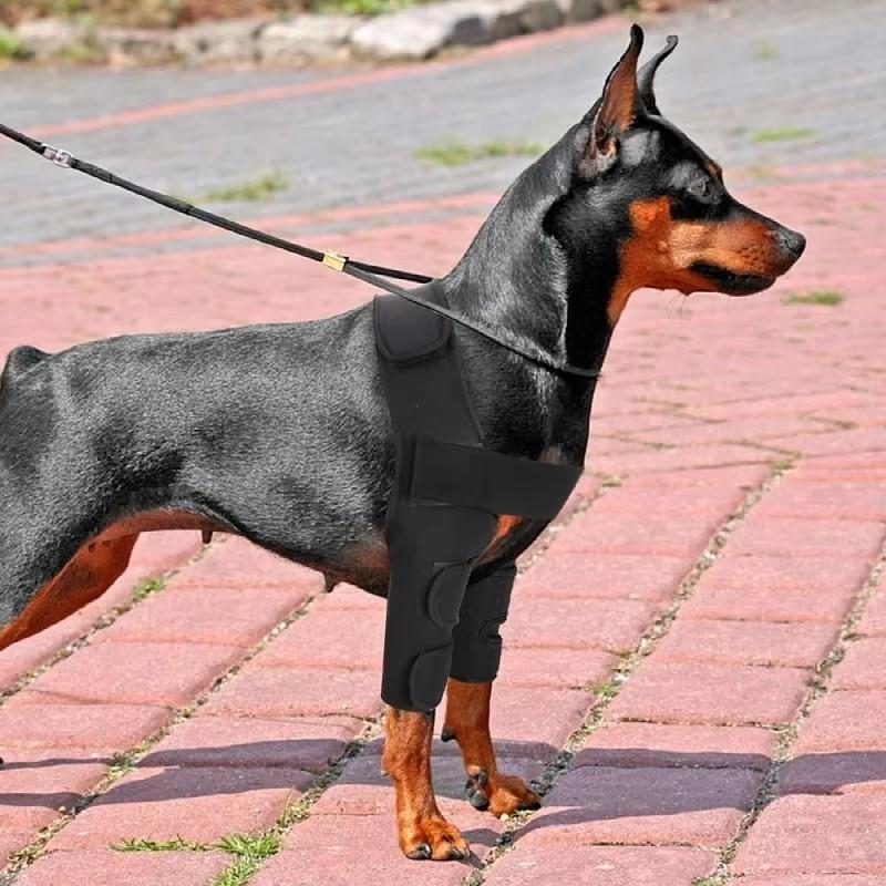 Pet Dog Leg Support Wraps With Breathable Fabric For Injury Recovery And Post Surgery Healing