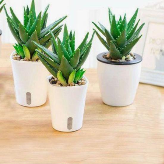Self Watering Plant Pots Small White Planter with Reservoir Translucent Inner Pot Cotton Wick Planters for Violet Cuttings Seedlings Propagation